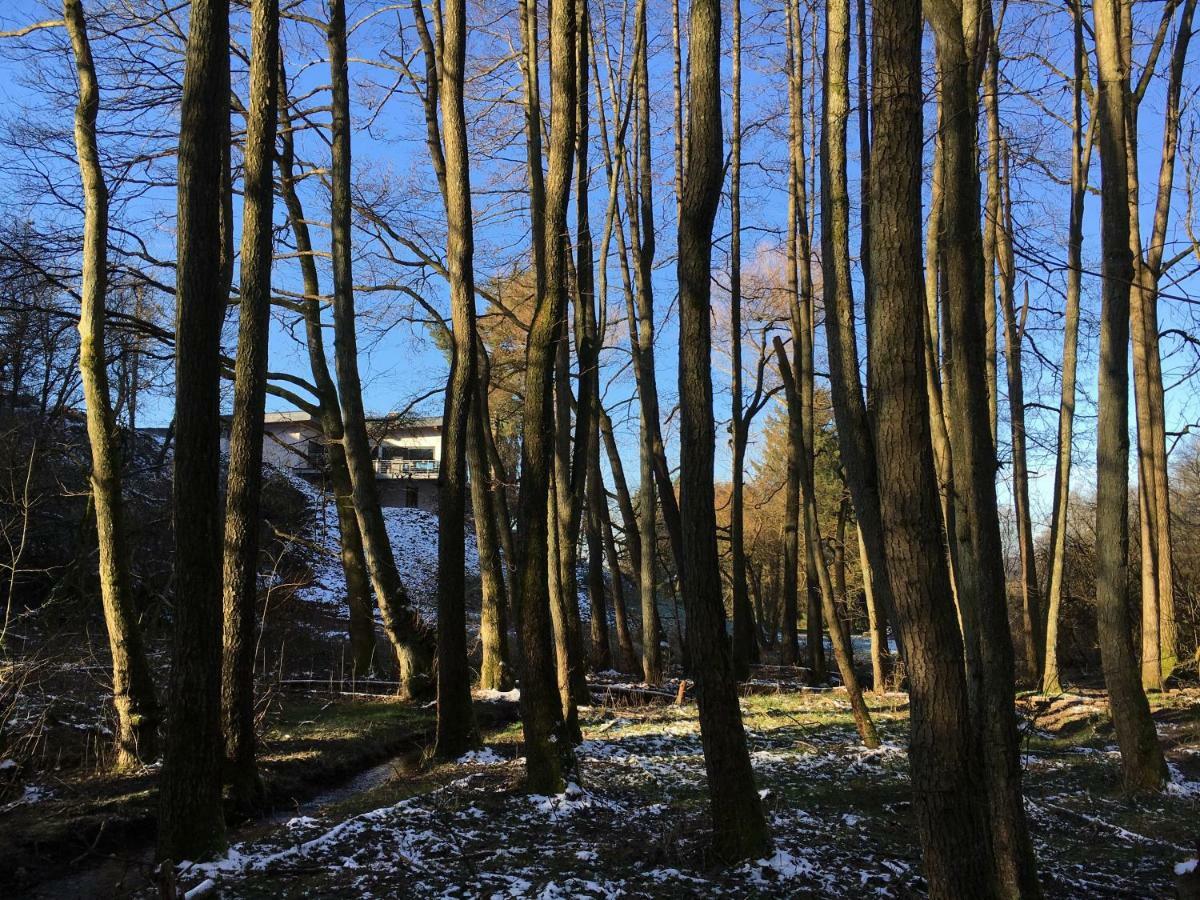Haagalm Terrasse, Garten Nonnweiler 外观 照片