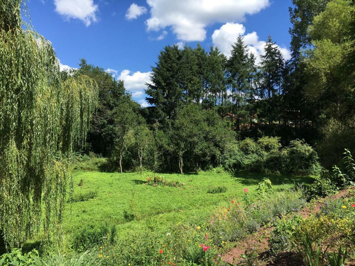 Haagalm Terrasse, Garten Nonnweiler 外观 照片