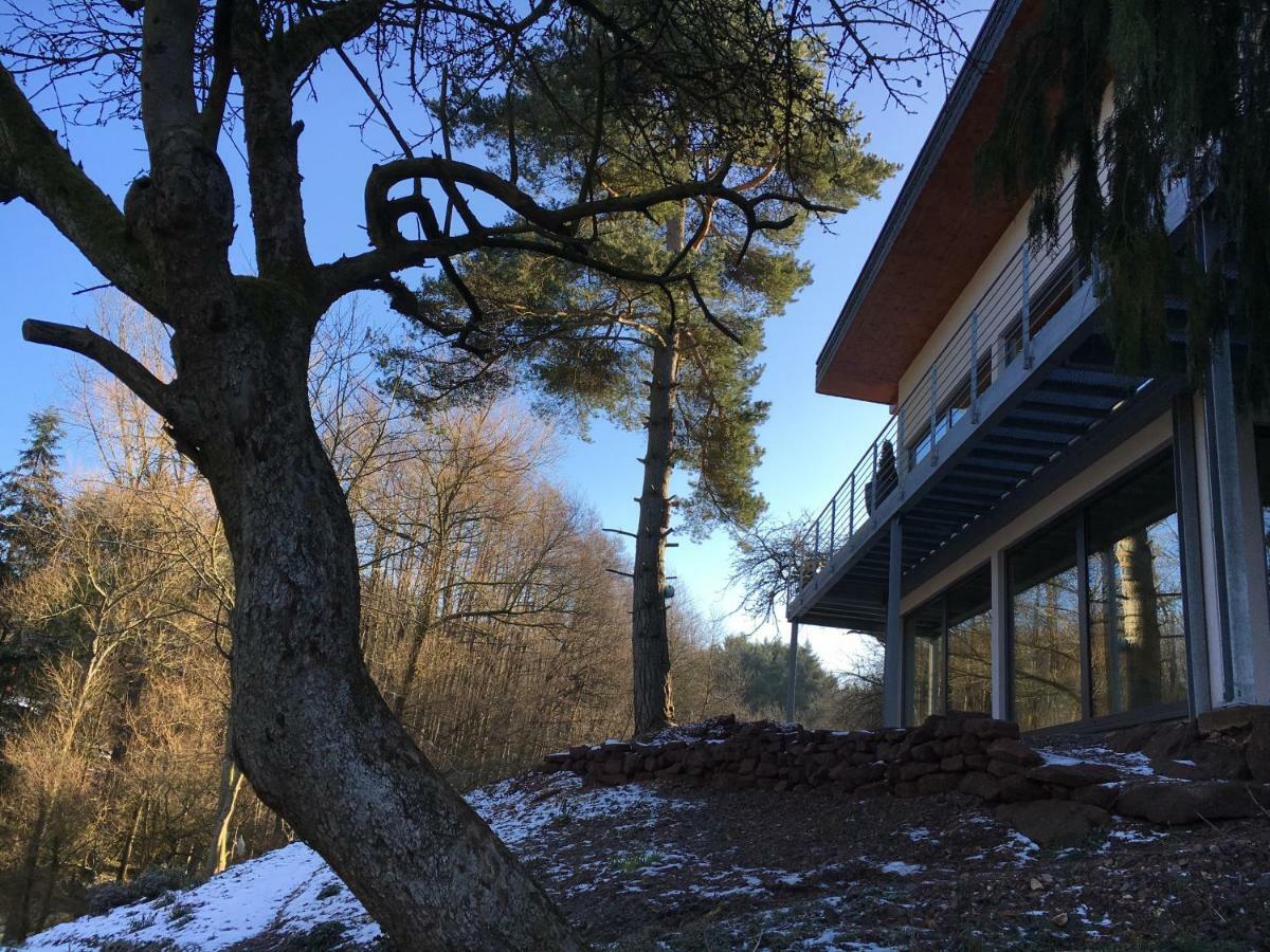 Haagalm Terrasse, Garten Nonnweiler 外观 照片